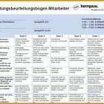 Einzahl Mitarbeiterjahresgespräch Vorlage 1115x927