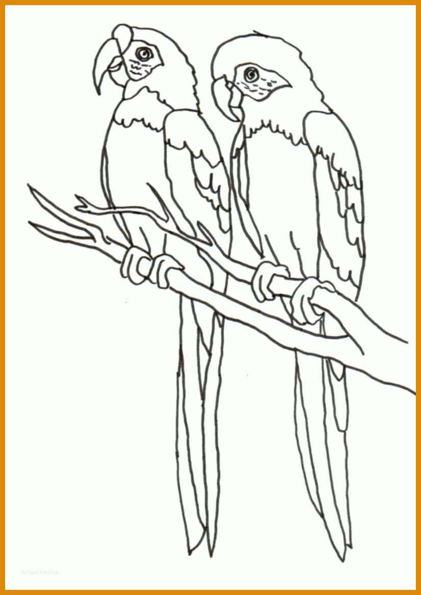 Schockierend Windows Color Vorlagen 826x1168