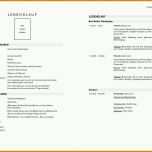 Unvergleichlich Biografie Vorlage 1754x1240