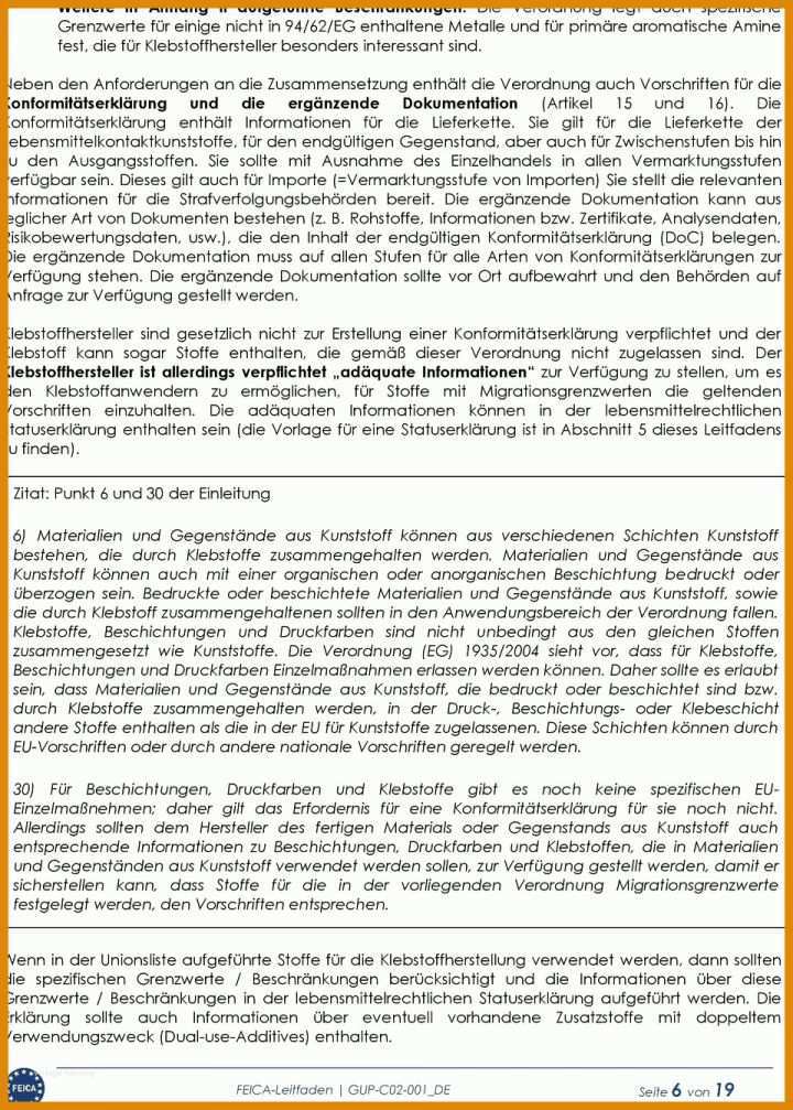 Einzahl Emv Risikobeurteilung Vorlage 960x1342