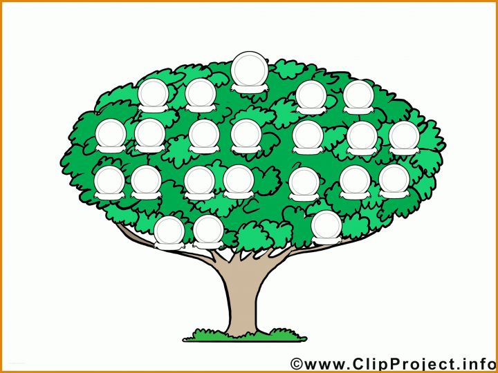 Phänomenal Familienstammbaum Vorlage Zum Ausdrucken 2300x1725