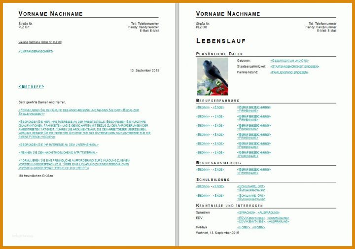 Einzahl Libreoffice Datenbank Vorlagen 1220x856