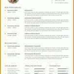 Größte One Pager Vorlage 992x1403