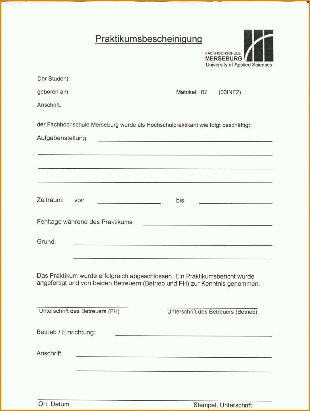 Limitierte Auflage Praktikumsbericht Altenheim Vorlage 2487x3300