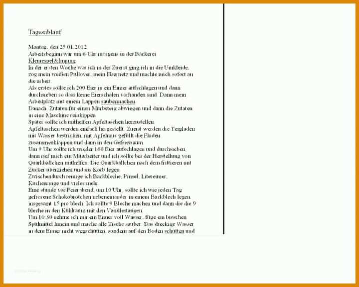 Faszinierend Praktikumsbericht Vorlage Pdf 1008x808