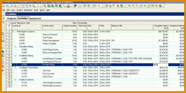 Singular Protokoll Vorlage Excel 1024x511