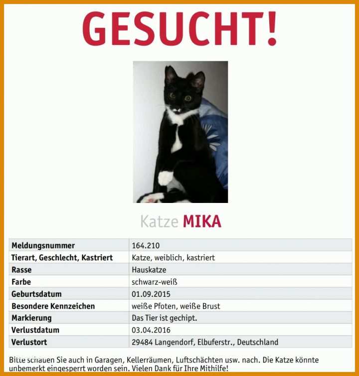 Vermisstenanzeige Vorlage Vermisstenanzeige Katze Vorlage Hbsch Hilfe Unser Bsi Ist Weg Fur Stunning Katze Vermisst Vorlage