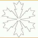 Atemberaubend Vorlage Schneeflocke 1251x1216