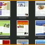Original Word Vorlage Newsletter 787x639
