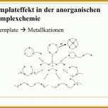 Beste Acv Kündigen Vorlage 960x720