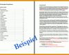 Perfekt Businessplan Vorlage Word 709x503