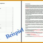 Perfekt Businessplan Vorlage Word 709x503