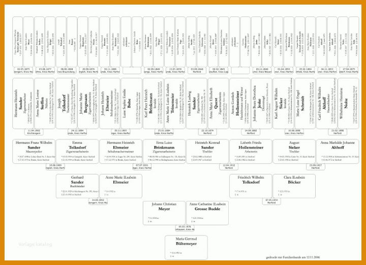 Einzigartig Familienstammbaum Vorlage Kostenlos Download 800x579