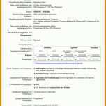 Modisch Lebenslauf Vorlage Europass 728x1030