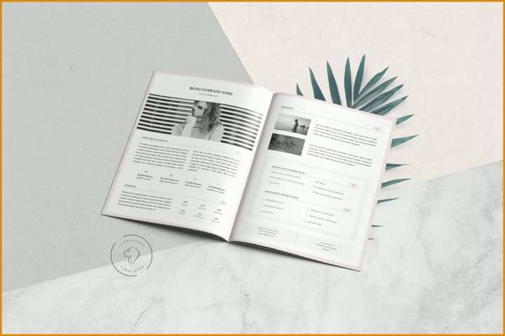 Singular Media Kit Vorlage 2800x1863