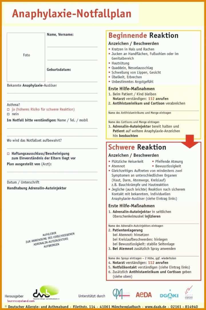 Großartig Notfallplan Vorlage 1132x1701