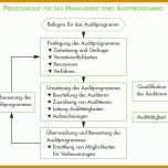 Tolle Auditprogramm Vorlage Excel 1117x698