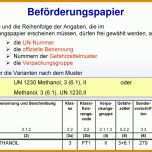 Singular Beförderungspapier Adr Vorlage 960x717