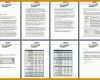 Bestbewertet Businessplan Vorlage Ihk 1302x451
