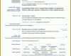 Original Cv Vorlage 1239x1754