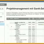 Faszinierend Kostenplan Projektmanagement Vorlage 1116x524