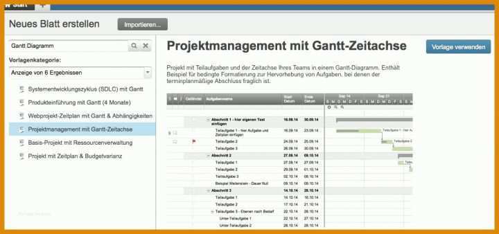 Ideal Kostenplan Projektmanagement Vorlage 1116x524