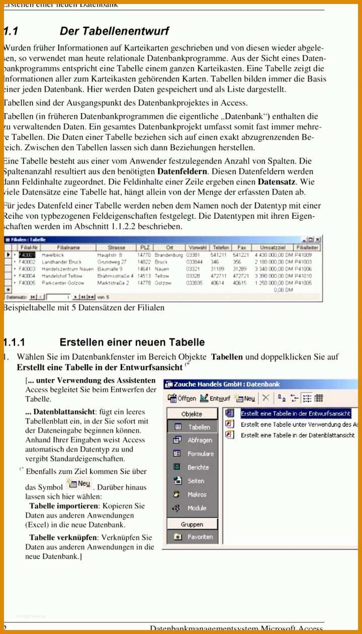 Perfekt Access Kundendatenbank Vorlage 912x1597
