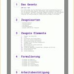 Atemberaubend Arbeitszeugnis Erstellen Vorlage 4500x7923