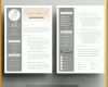 Perfekt Cv Vorlage Word 736x732