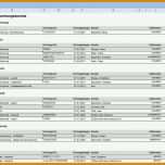 Faszinieren Excel Vorlage Vertragsübersicht 1024x733
