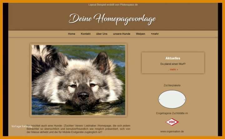 Tolle Hunde Homepage Vorlagen 800x495