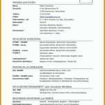 Staffelung Lebenslauf Vorlage Word Dokument 996x1408