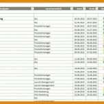 Auffällig Projektmanagement Excel Vorlage 901x396