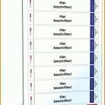 Auffällig Rückenetiketten Für ordner Vorlage Word 1600x2100