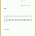 Selten Schadensmeldung Vorlage 728x1029