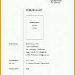 Angepasst Vita Erstellen Vorlage 950x1344