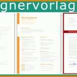 Bestbewertet Biografie Vorlage 1024x559