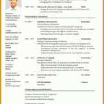 Spezialisiert Cv Englisch Vorlage 950x1343