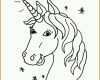 Bemerkenswert Einhorn Vorlage Zum Basteln 1646x1725