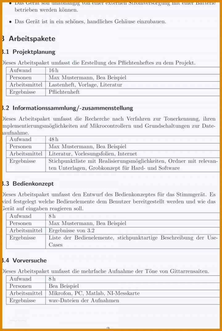 Singular Lastenheft Vorlage Pdf 960x1427