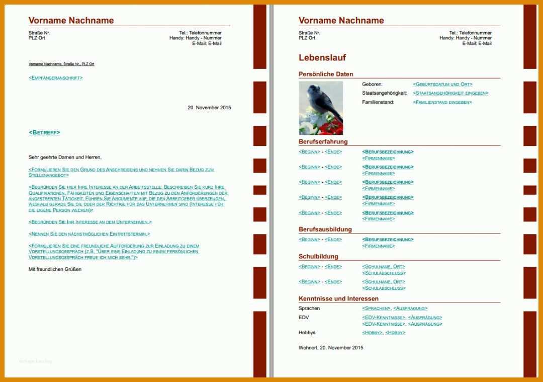 Am Beliebtesten Lebenslauf Vorlage Libreoffice 1184x832