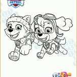 Neue Version Paw Patrol Vorlage 2506x3532