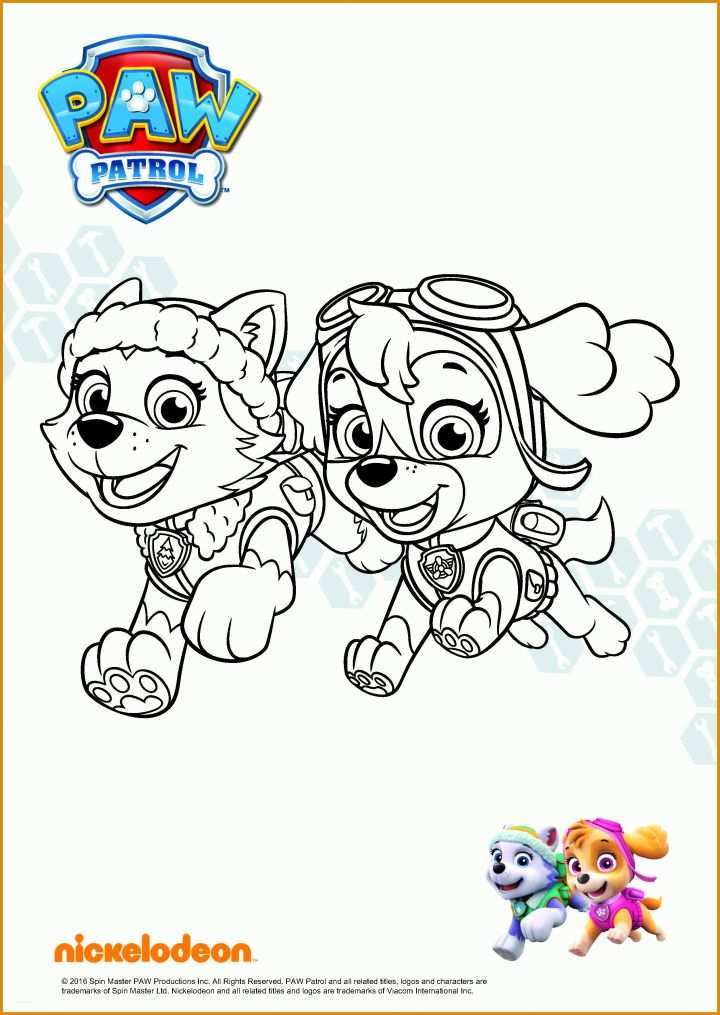 Hervorragend Paw Patrol Vorlage 2506x3532