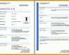 Exklusiv Tabellarischer Lebenslauf Vorlage Kostenlos Download 890x623