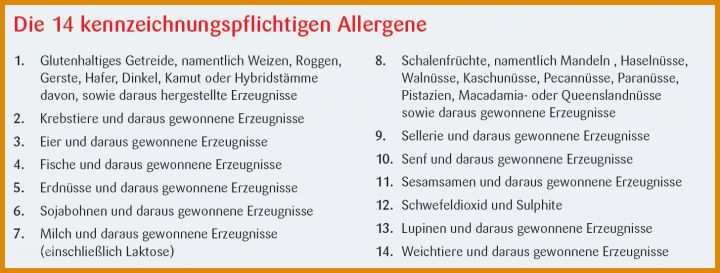 Allergenliste Vorlage Index