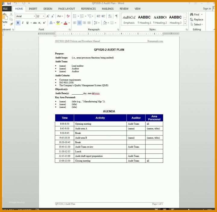 Kreativ Auditplan Vorlage Excel 1007x987