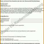 Hervorragen Konformitätserklärung Vorlage Pdf 960x1656