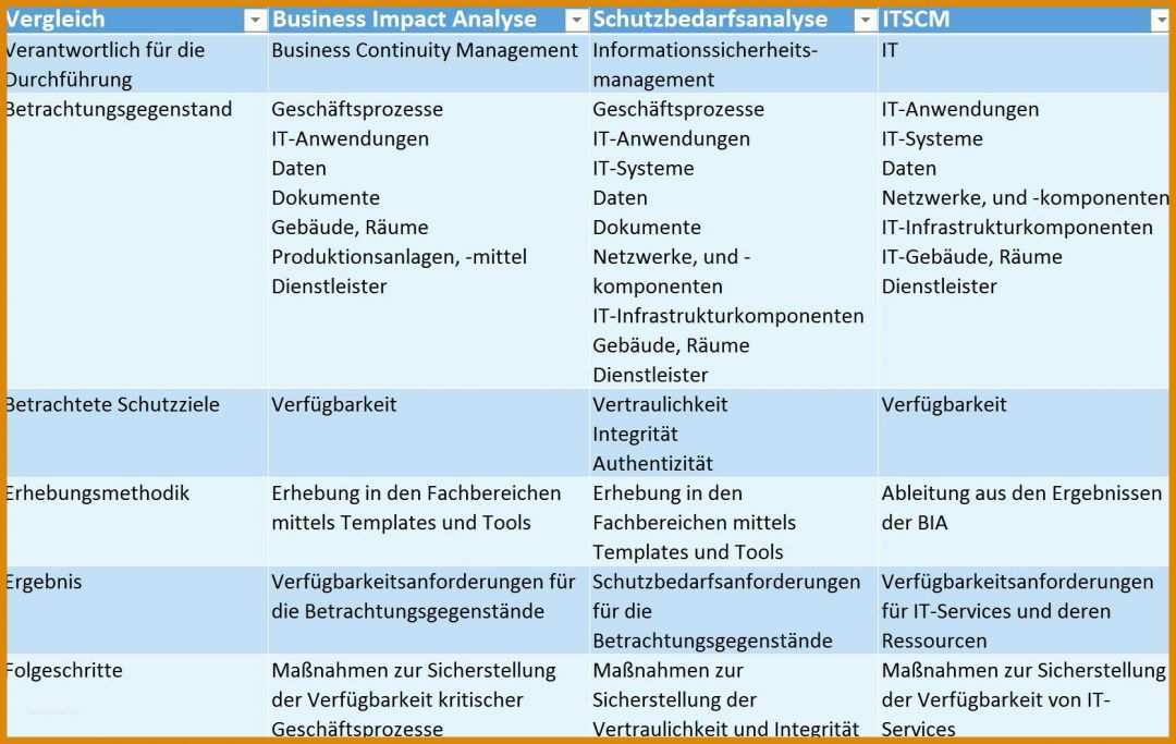 Einzahl Schutzbedarfsanalyse Vorlage 1673x1058