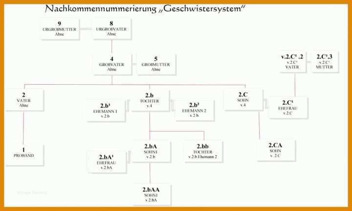 Rühren Stammbaum Vorlage Mit Geschwistern 853x513