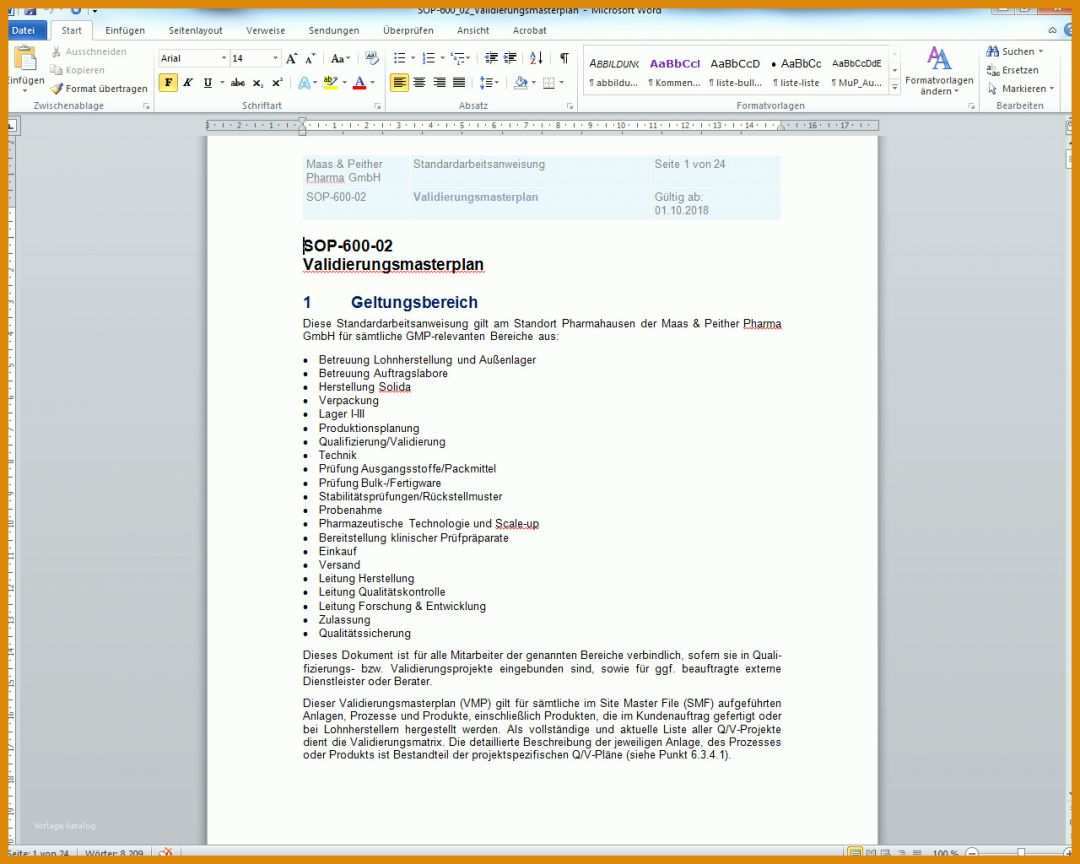 Spezialisiert Validierungsmasterplan Vorlage 1280x1024